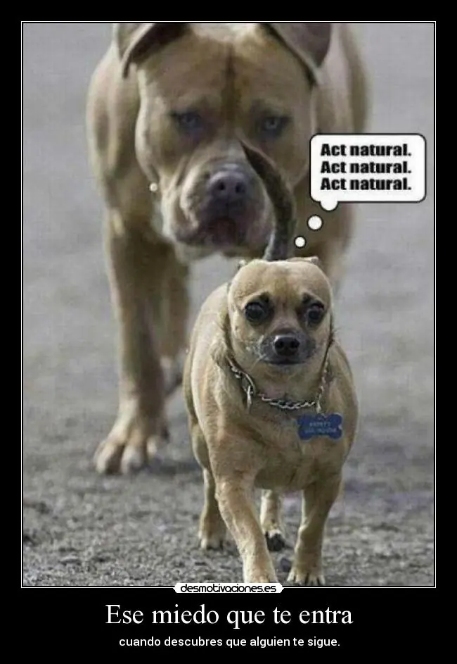 desmotivaciones