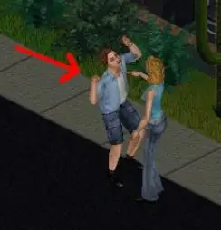 Los Sims, Curiosidades y casos extraños [Megapost]