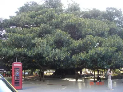 Buenos Aires Buenos Aires