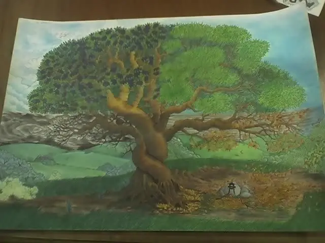 Algunos dibujos viejos