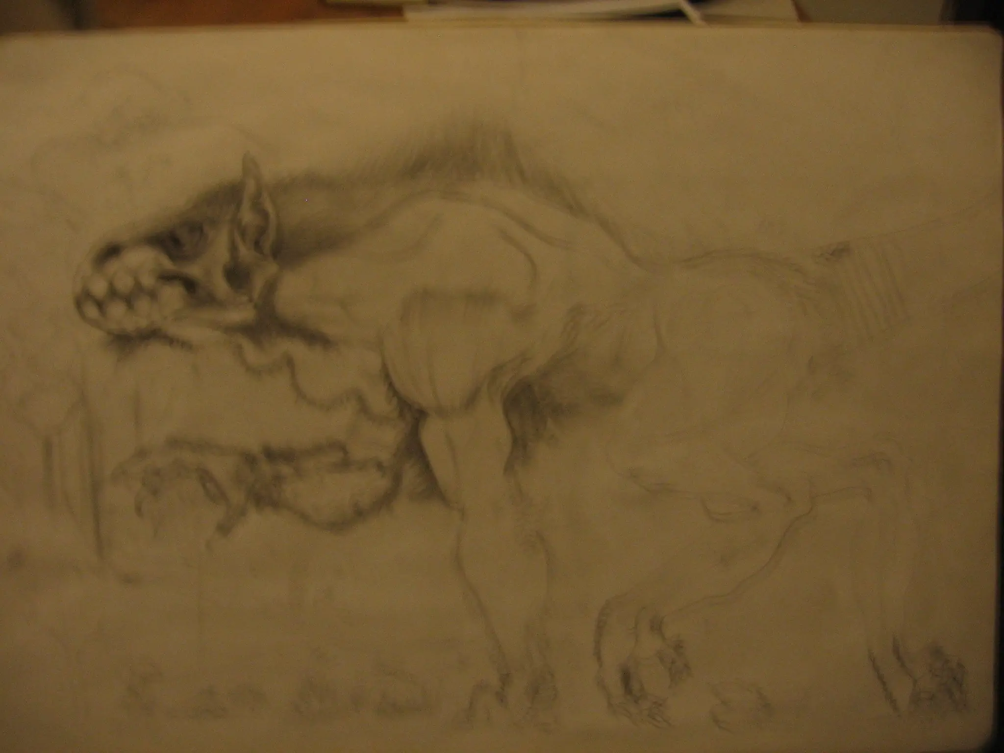 Algunos dibujos viejos