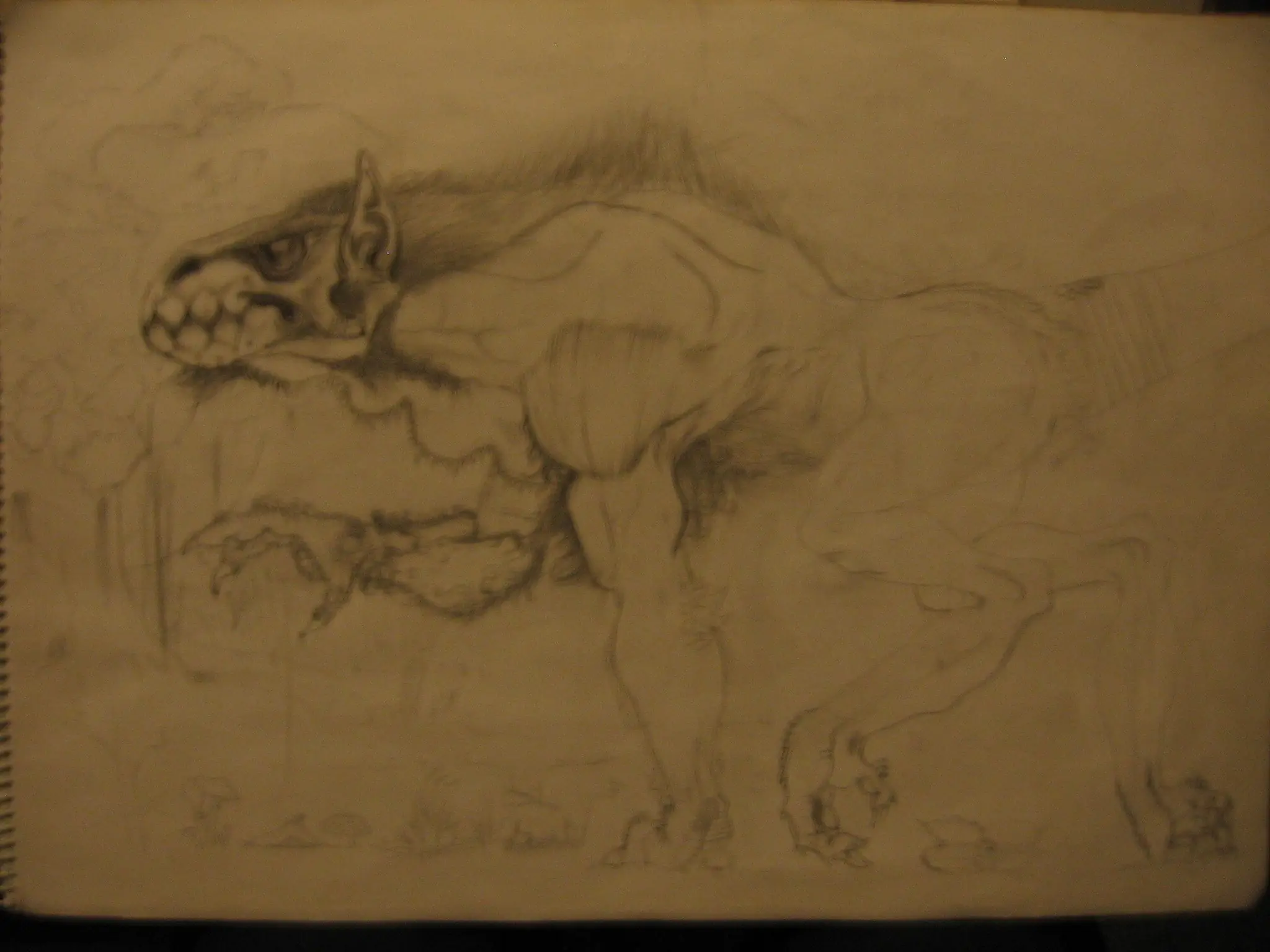 Dibujo