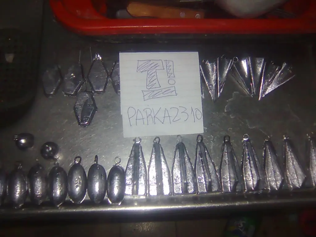 Sos aficionado a la pesca? Entra y aprende esto
