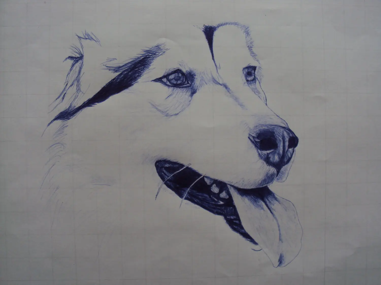 boligrafo