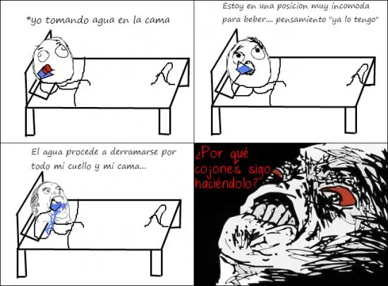 reir