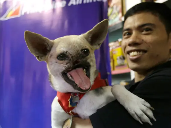 humanos salvados por animales