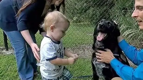 humanos salvados por animales