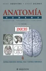 Anatomia Humana, Rouviere
