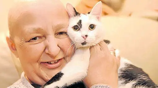 Animales