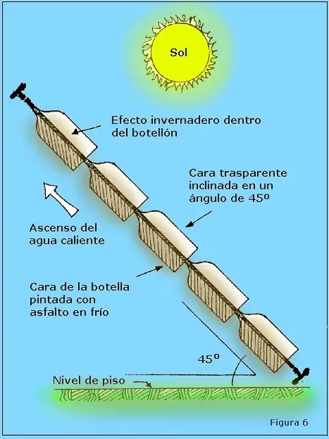ecologia