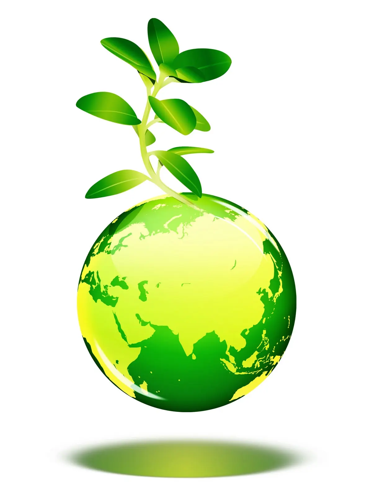 nutricion