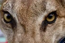 ayudame a subir el karma