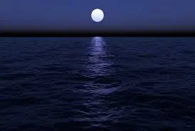 desaparece