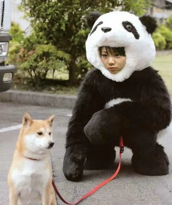 japoneses