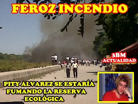 El Pity Alvarez se estaria fumando la reserva ecologica