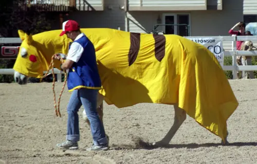 Un poco de humor a tu vida [Megapost] 08