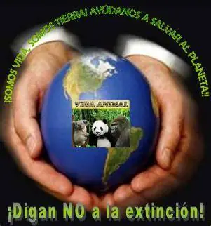 Animales