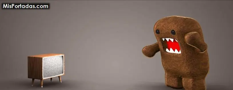 capturador