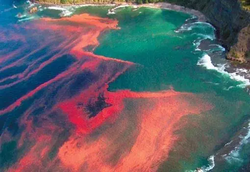 Los 10 Fenómenos Naturales más Fascinantes!