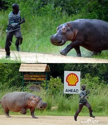 humor