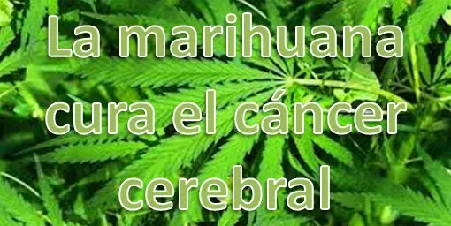 cancer