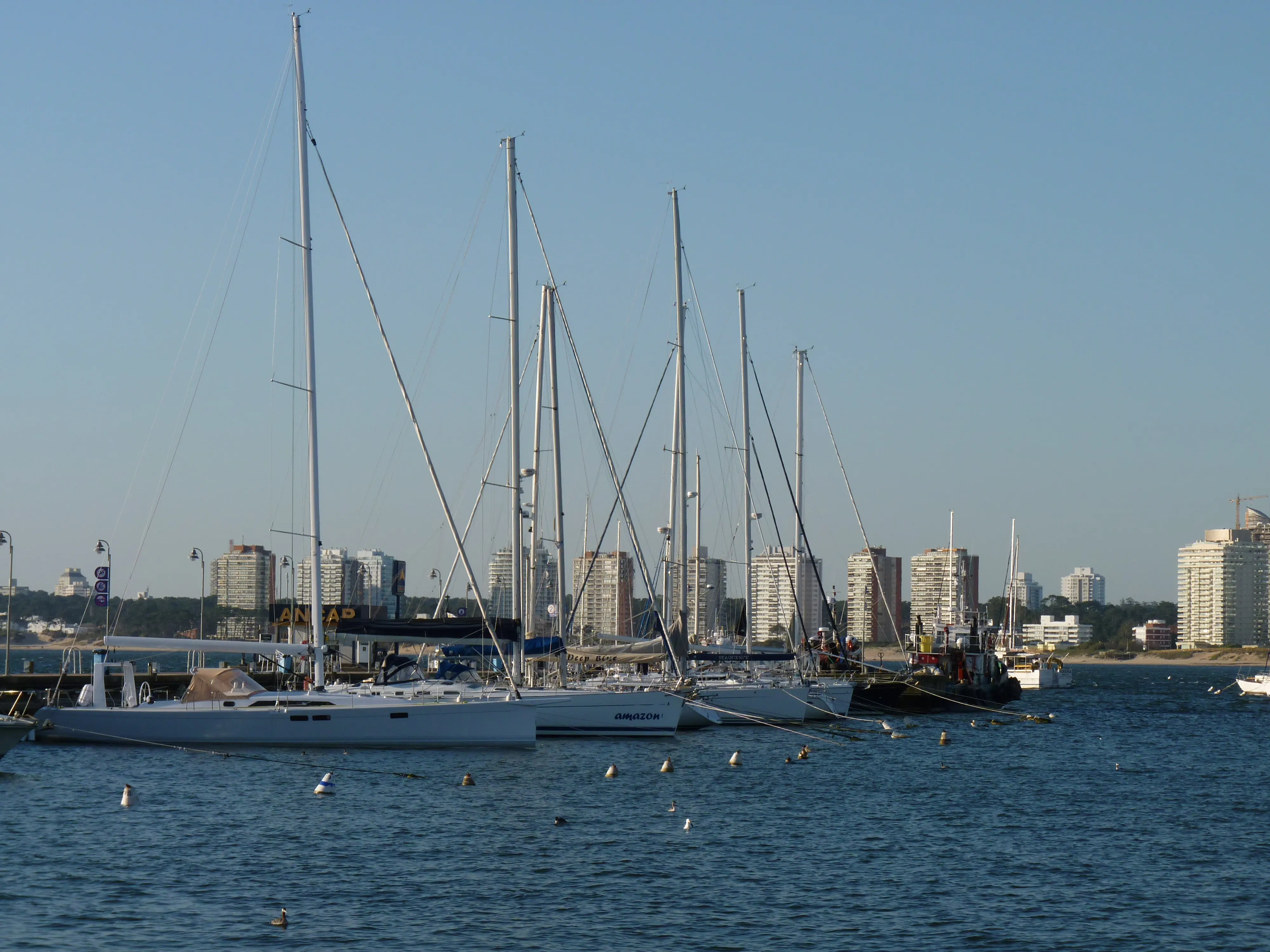 NoNoNo de Punta del Este -ROU- a Guarujá, Santos -Brasil-
