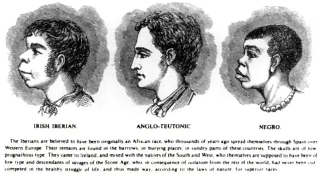 irlandeses