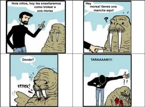 Imagenes graciosas