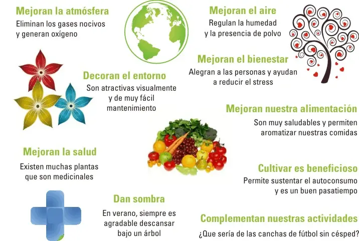 caminar