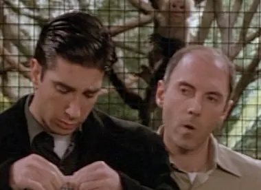 Friends