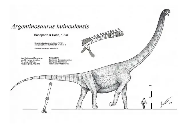 El Dinosaurio mas grande fue Argentino