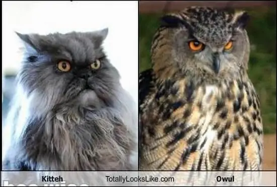 Parecidos mucho mas que razonables