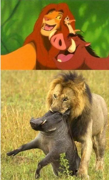 Infancia destruida en 3, 2, 1