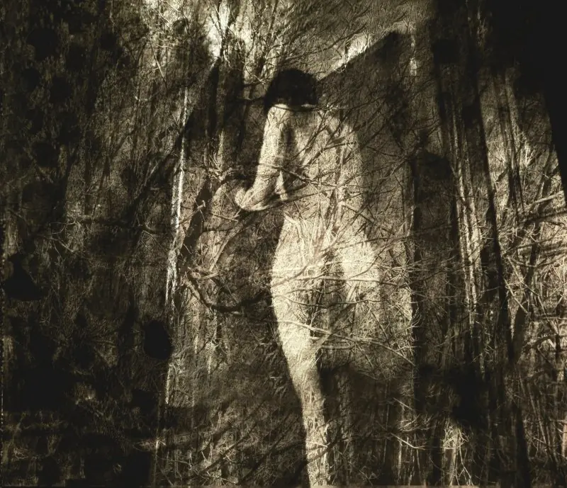 philippe berthier