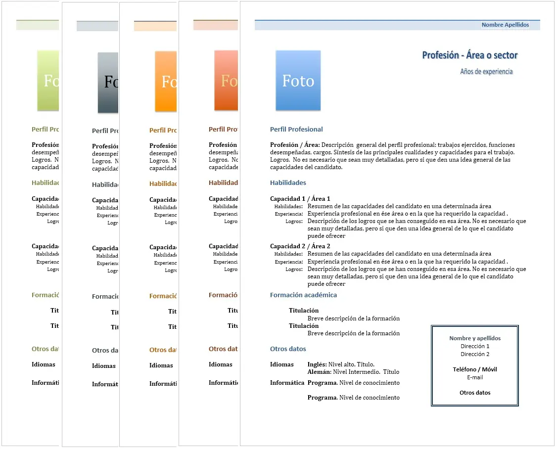 curriculum vitae