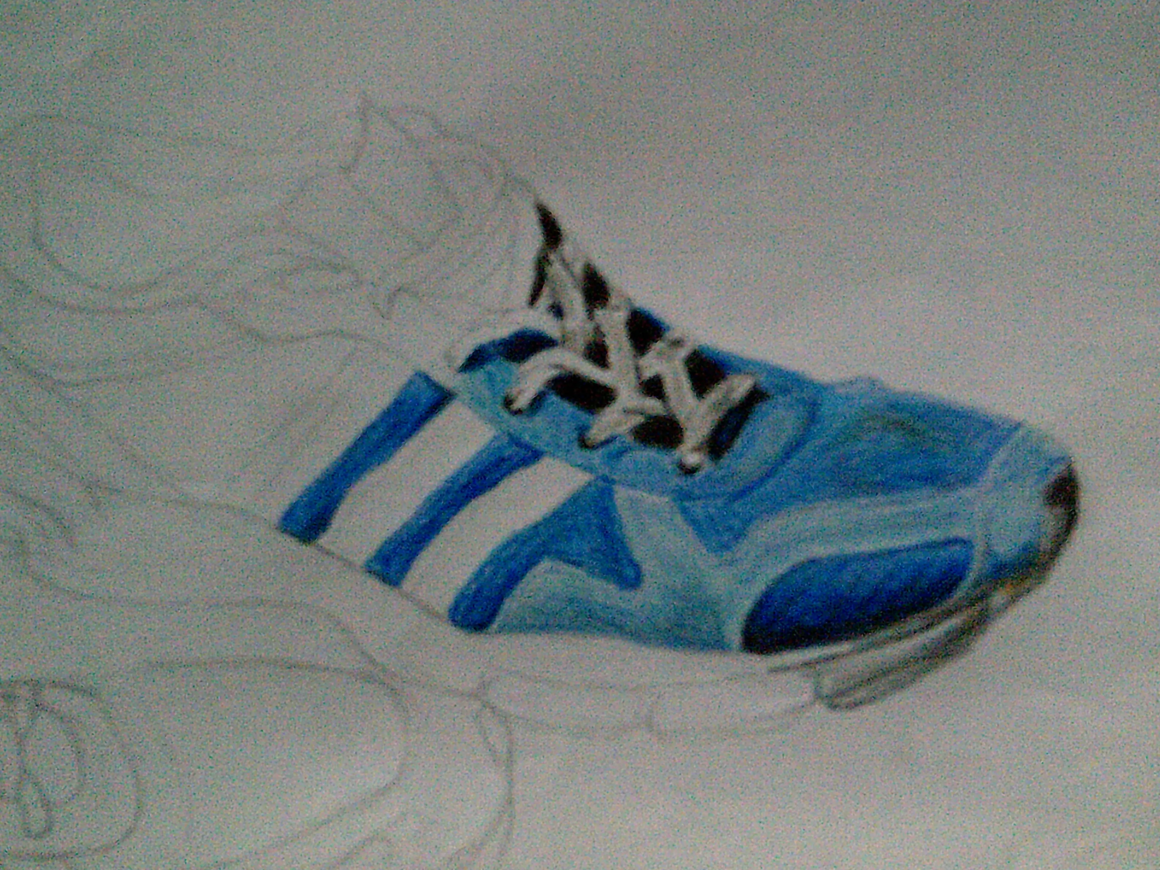 zapatillas