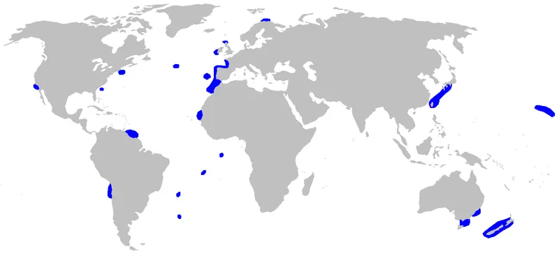 peces