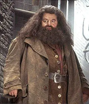 barba
