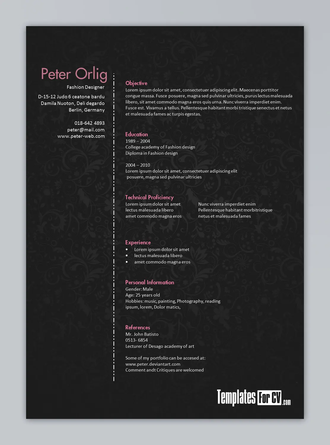curriculum vitae