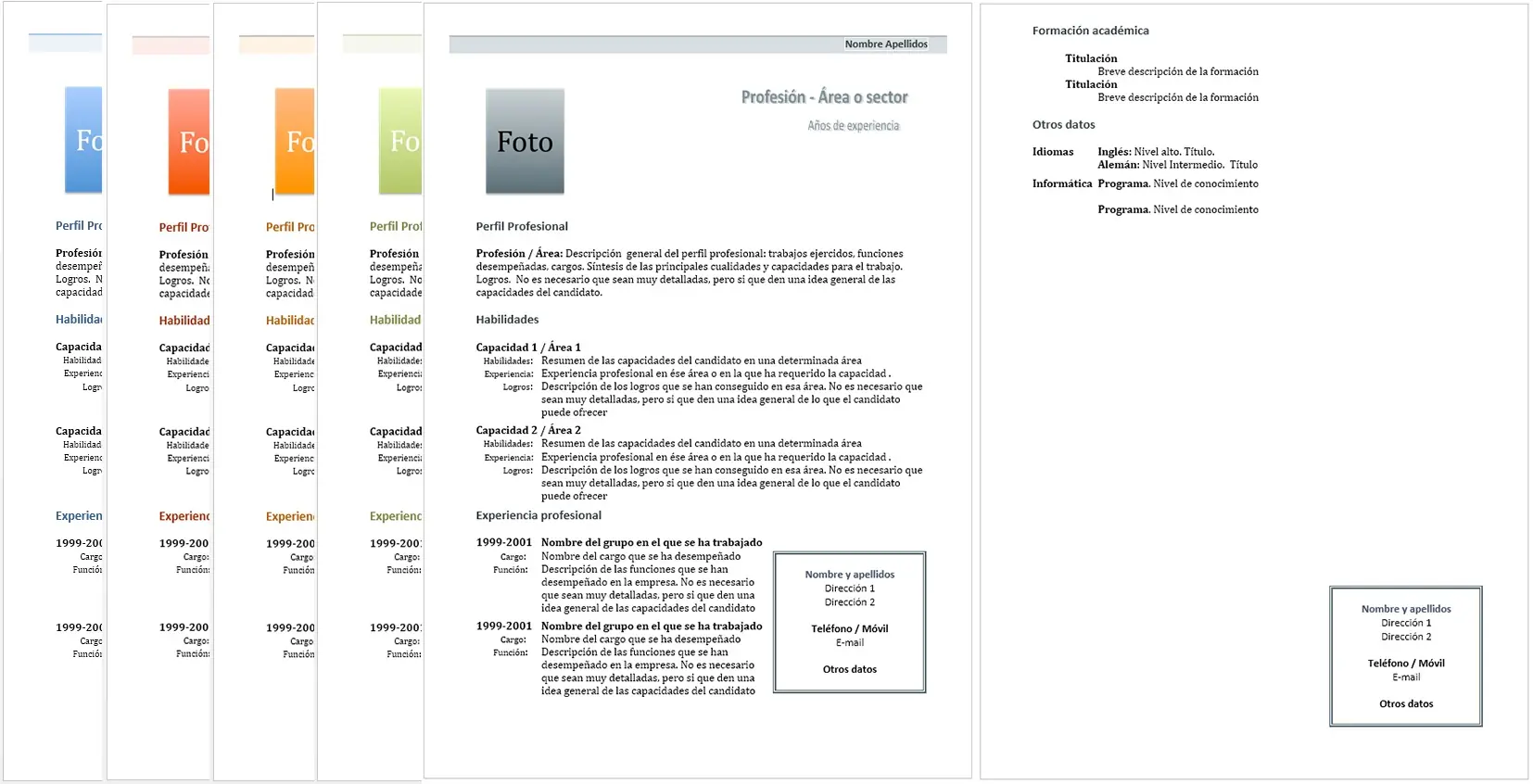 cv modelo