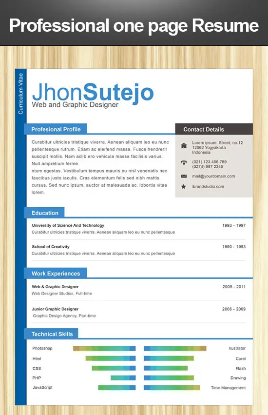 cv modelo