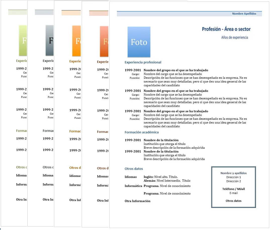 cv modelo