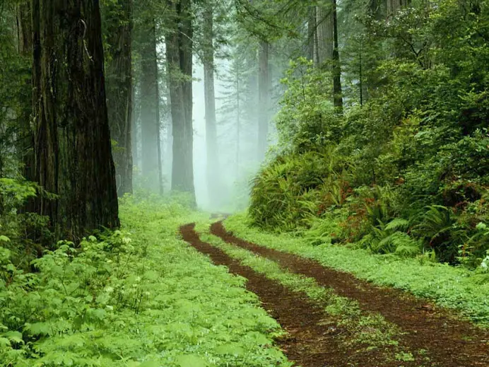tierra