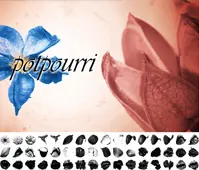 photoshop