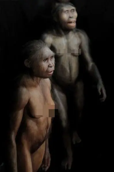 los nuevos descubrimientos de la evolucion humana [megapost]