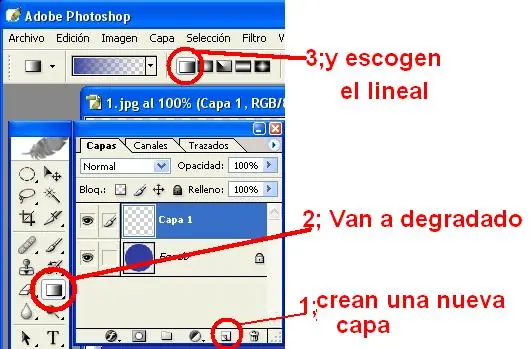 web