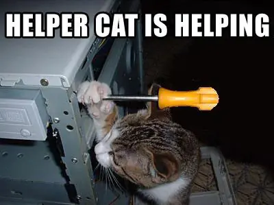 caturday