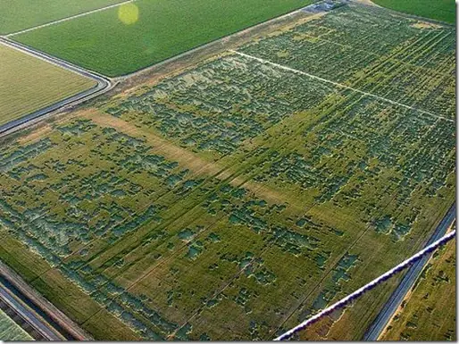 El extraño crop circle ruso
