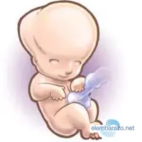 Embarazo... [Megapost]
