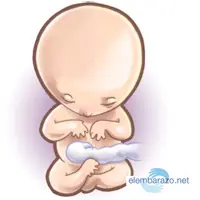 Embarazo
